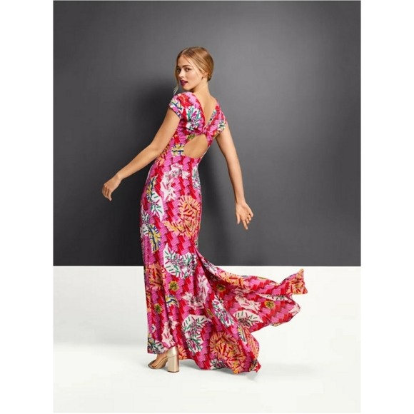 Zac Posen for Target Dresses & Skirts - NWOT Zac Posen for Target Women's Safety-Pin Print Cap Sleeve V-Neck Maxi Dress